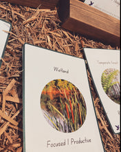 Load image into Gallery viewer, Relating Emotions to Ecosystems Educational Flashcards - DIGITAL Copy