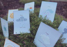 Load image into Gallery viewer, Forecast of Emotions Educational Flashcards - DIGITAL copy
