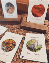 Load image into Gallery viewer, Relating Emotions to Ecosystems Educational Flashcards - Printed Set
